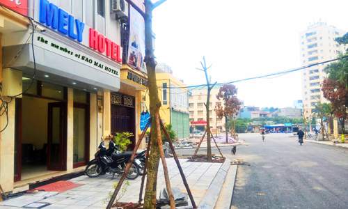 Sao Mai Mely - Khách sạn giá rẻ ở Cầu Giấy, Hà nội